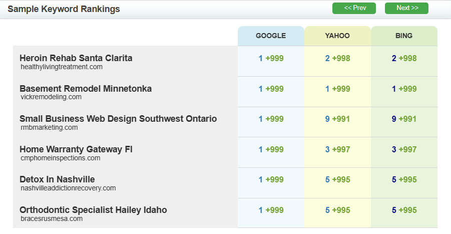 live seo reporting table